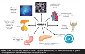 A spider diagram of the extra pituitary effects of GHRP2