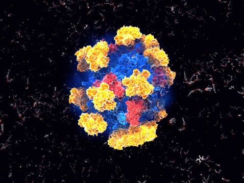 Close up of a blue, red and yellow enzyme cell
