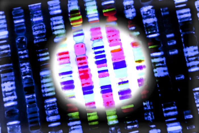 Genomic typing of human DNA