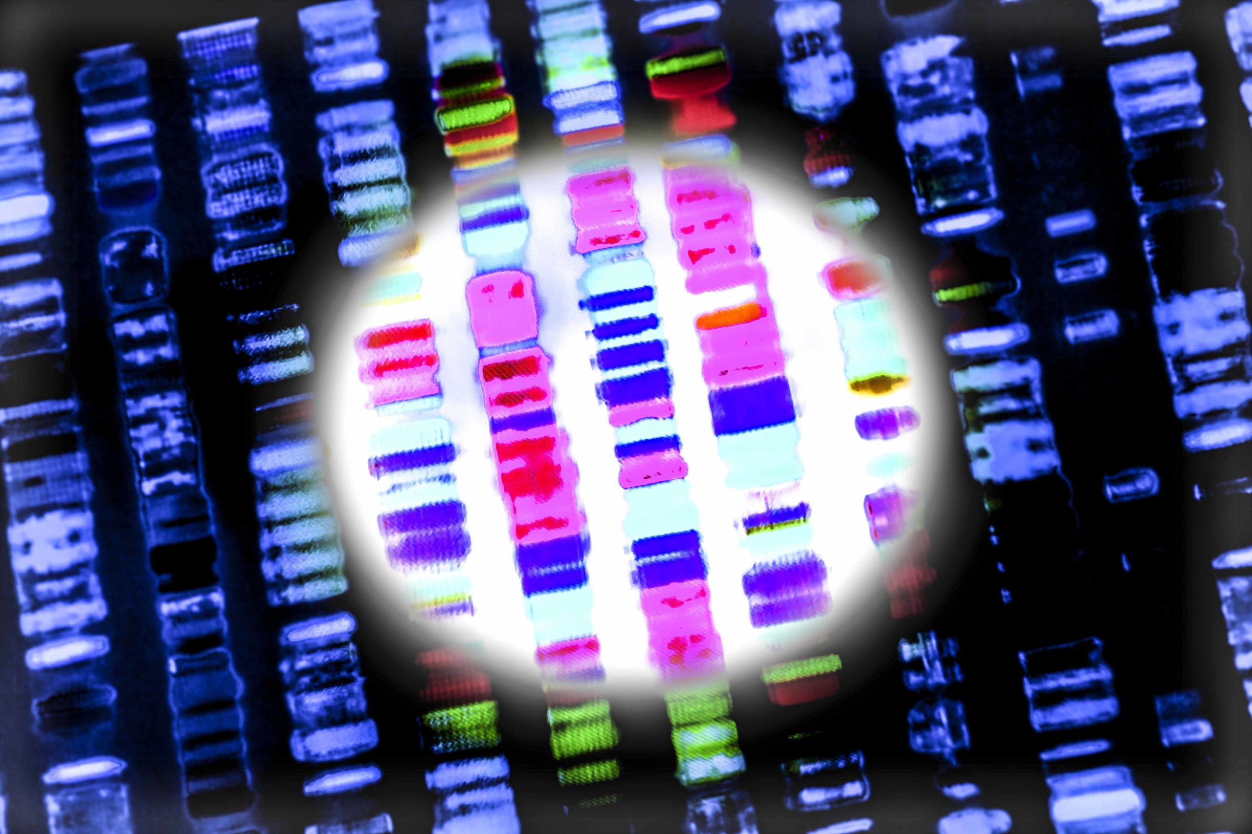 Genomic typing of human DNA