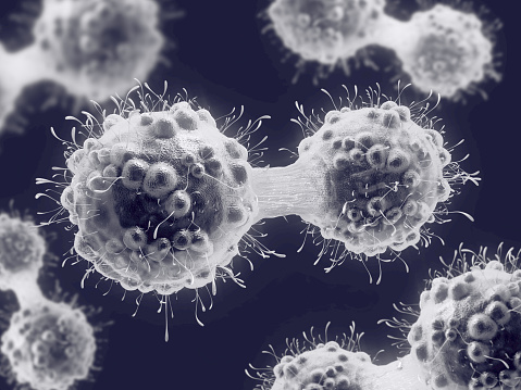 A close up of a grey and white microbe