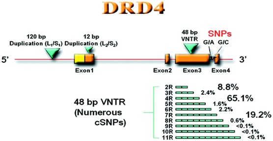 adhd-fig-2