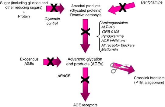 age-fig-2