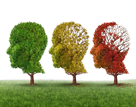 3 trees shaped as humans heads with the leaves gradually fading in the brain area