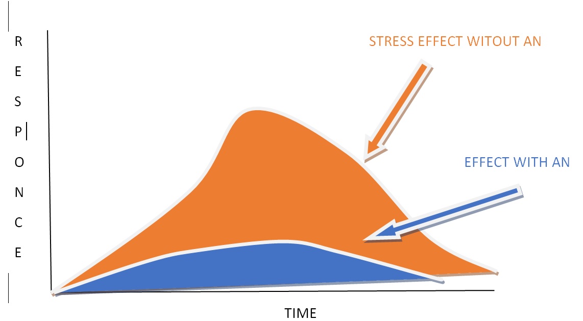 ampk-fig-3