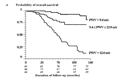 arteries-pm-fig-4