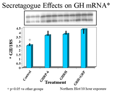 ghrp-fig-8