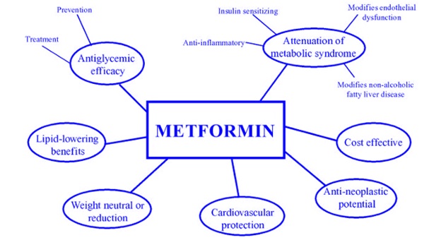 metformin-fig-2