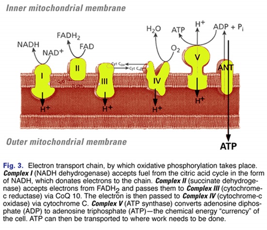 mitpro-3-1