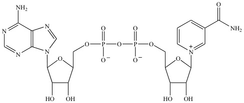 nad-fig-2