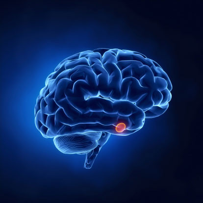 Glowing blue brain with a red highlighted dot