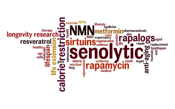 Word cloud including senolytic, rapalogs, sirtuins and more