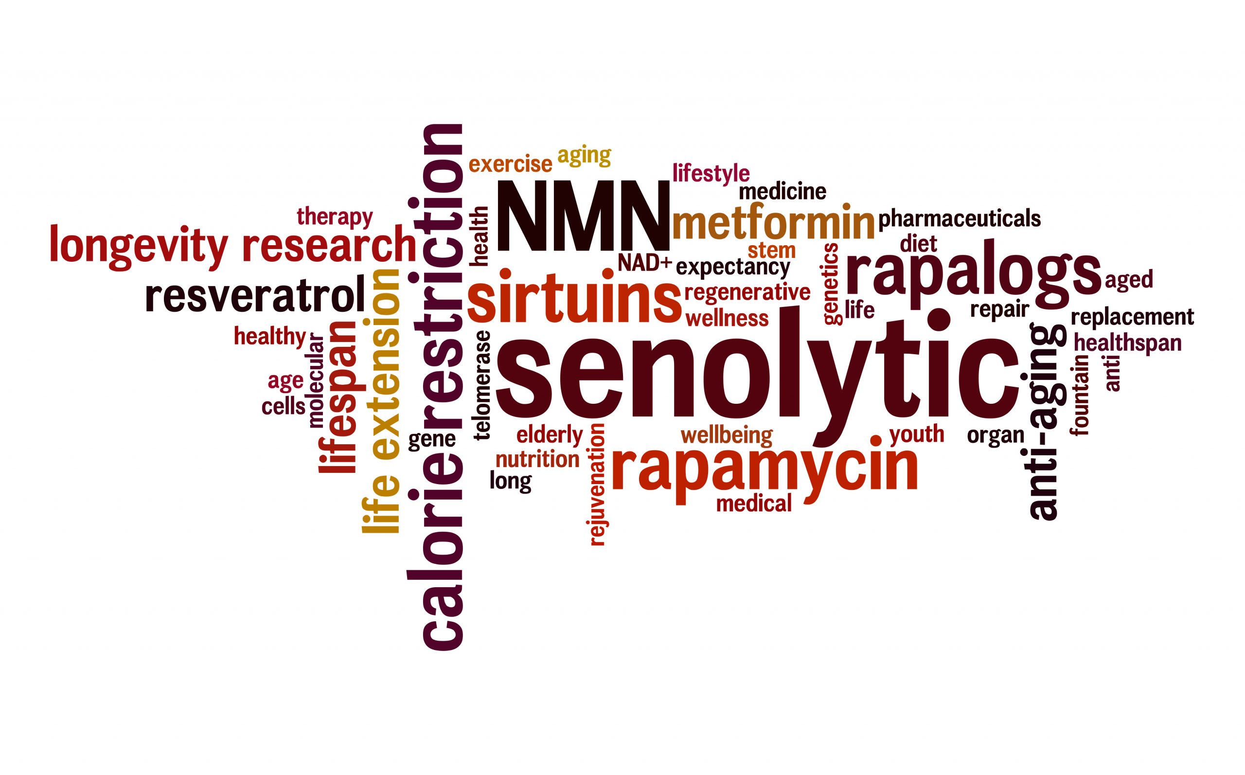 Word cloud including senolytic, rapalogs, sirtuins and more