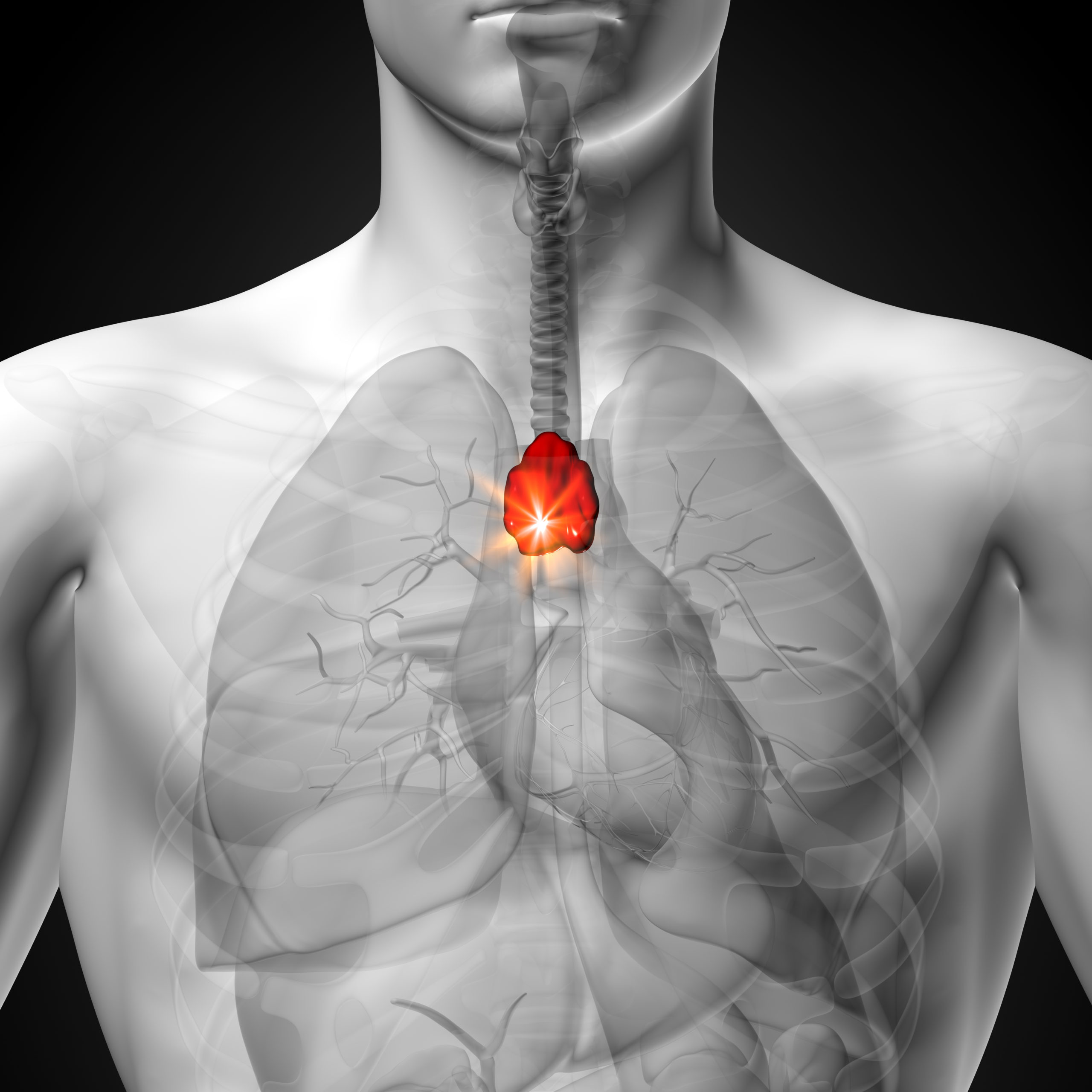 Thymus Function