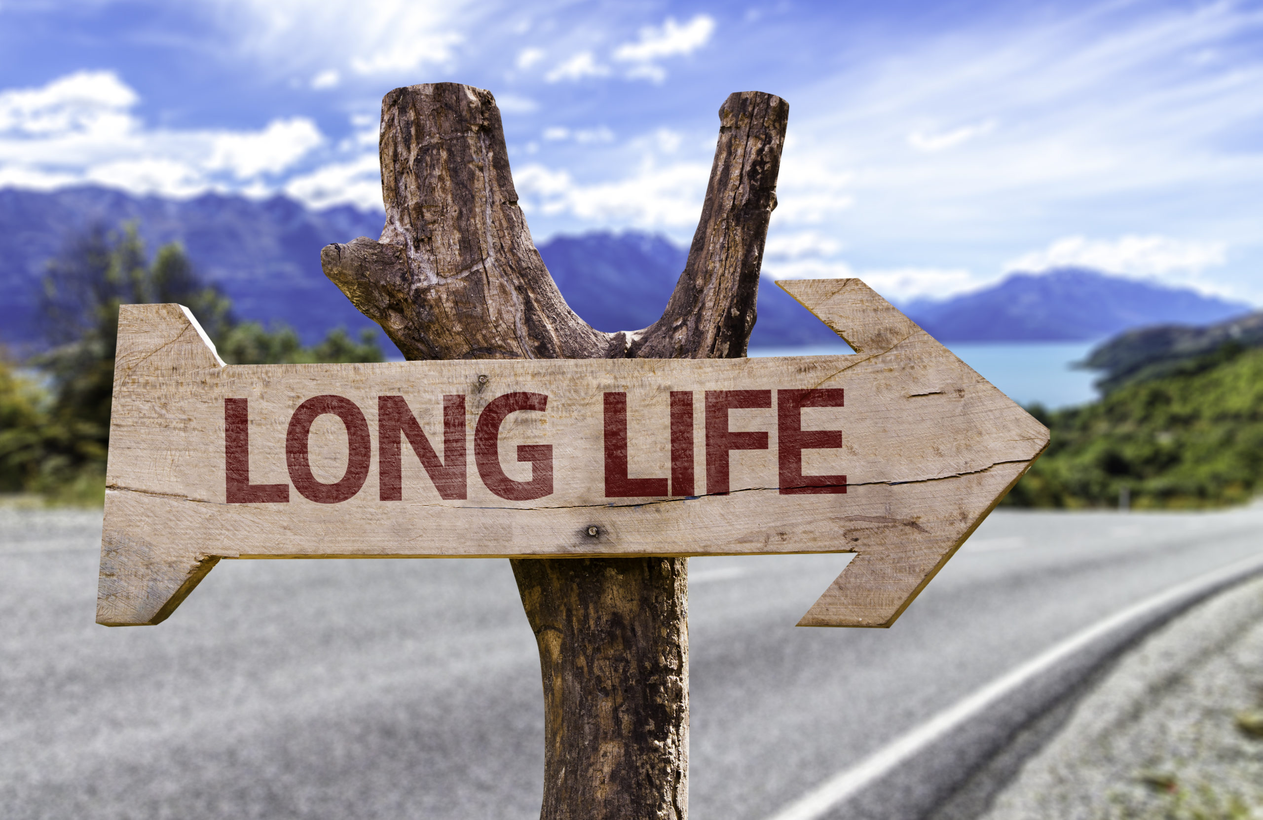 A sign on the side of the road with the text 'long life'