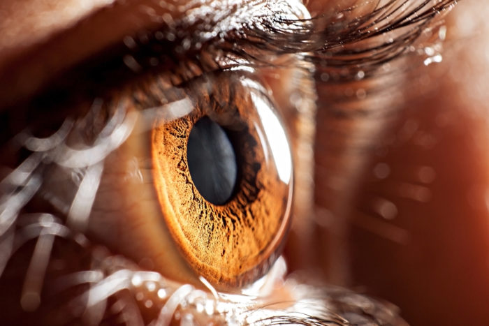 Close up of an eye with a brown pupil