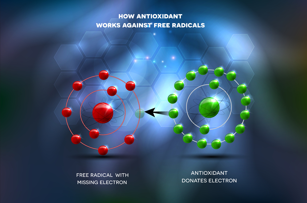 Diagram of how antioxidants work against free radicals